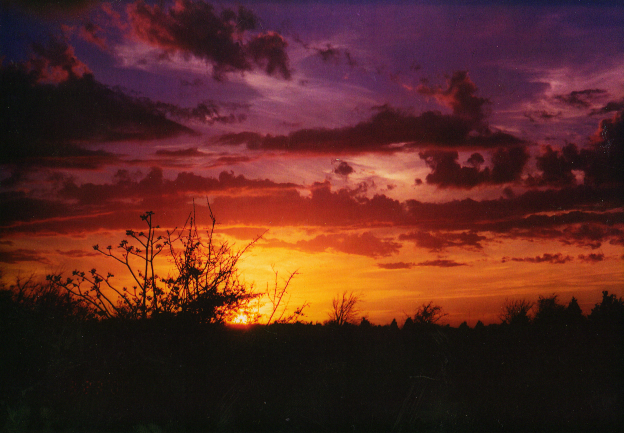 Sunset-Ferris, TX